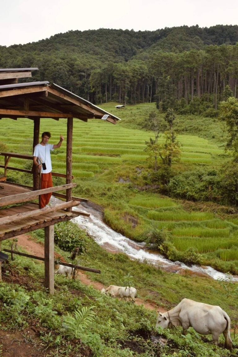 LINE_ALBUM_Program 1,4 and 5 1-3 days treking only Walk_๒๔๐๖๒๑_2