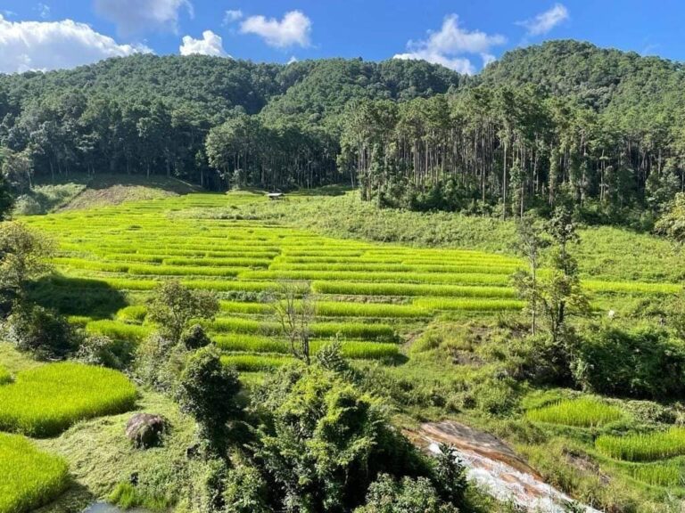 LINE_ALBUM_Program 1,4 and 5 1-3 days treking only Walk_๒๔๐๖๒๑_4