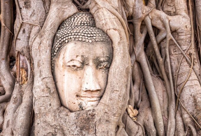 LINE_ALBUM_ทัวร์ 8days Around thailand_๒๔๐๖๒๑_3