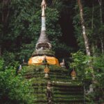 timeline_20241203_145645