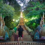 timeline_20241203_145648