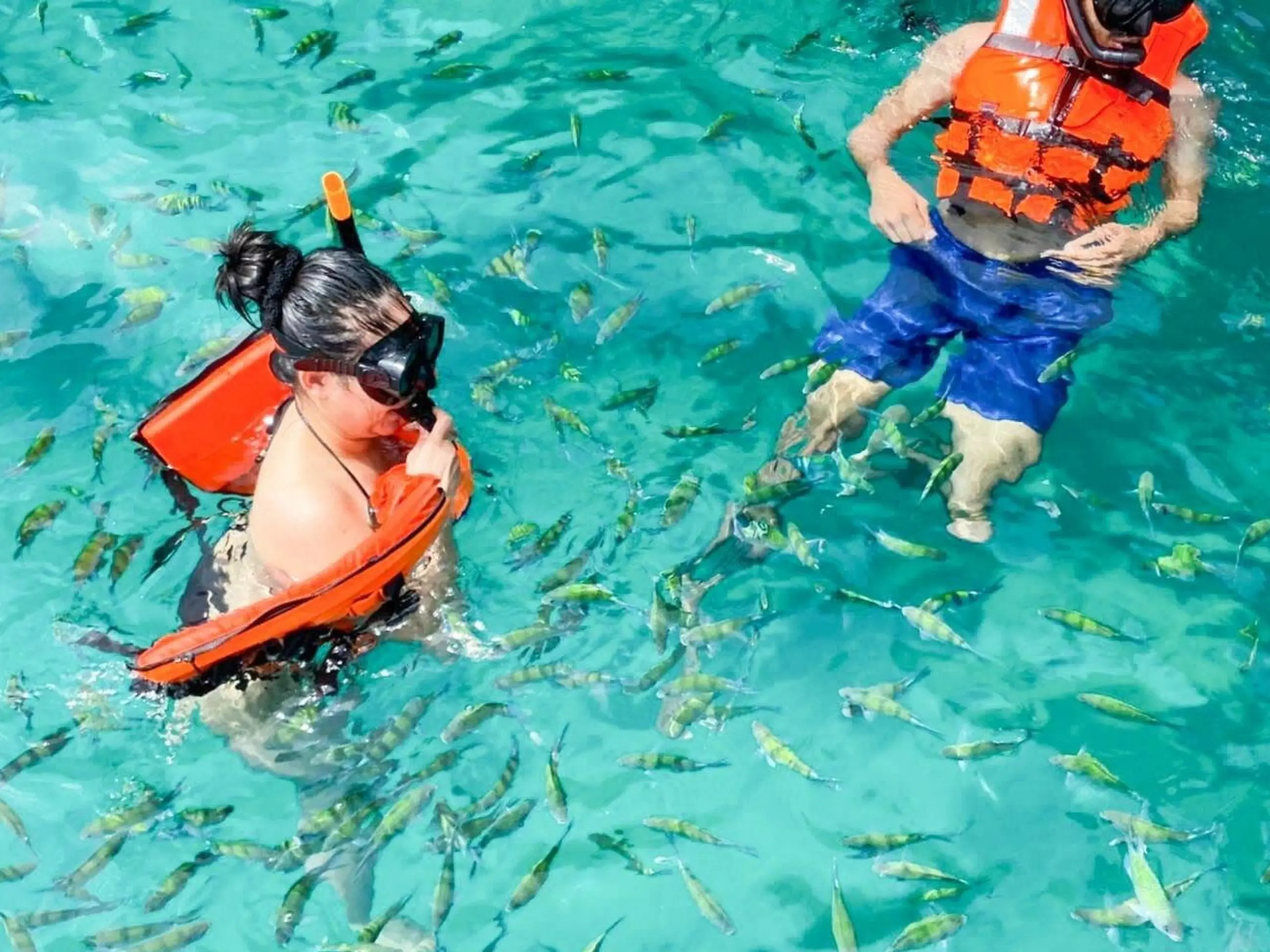 Phuket - Coral and Racha Tour