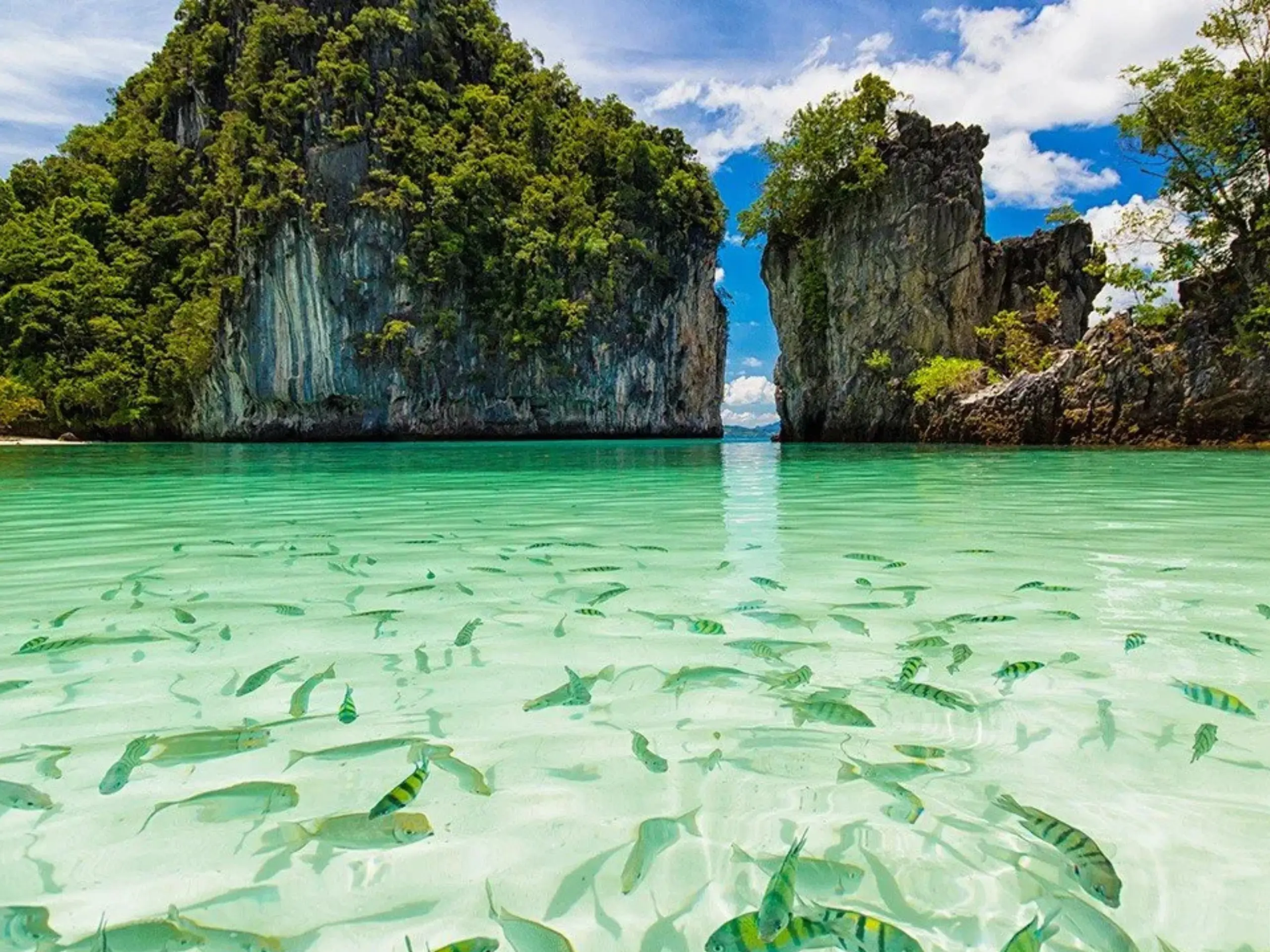 Phuket - Hong Island Tour