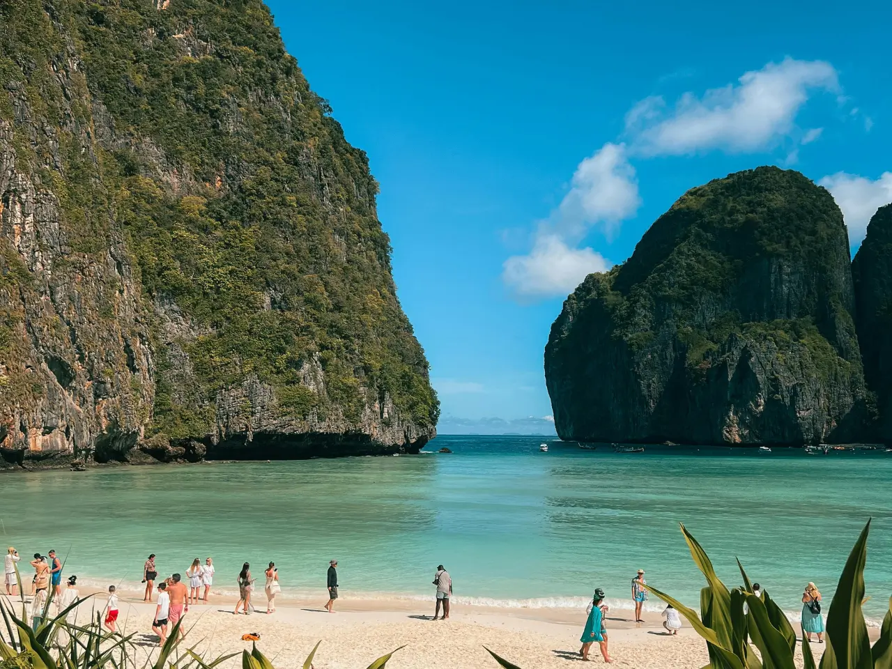 Tour Phi Phi and Maya Bay (3)