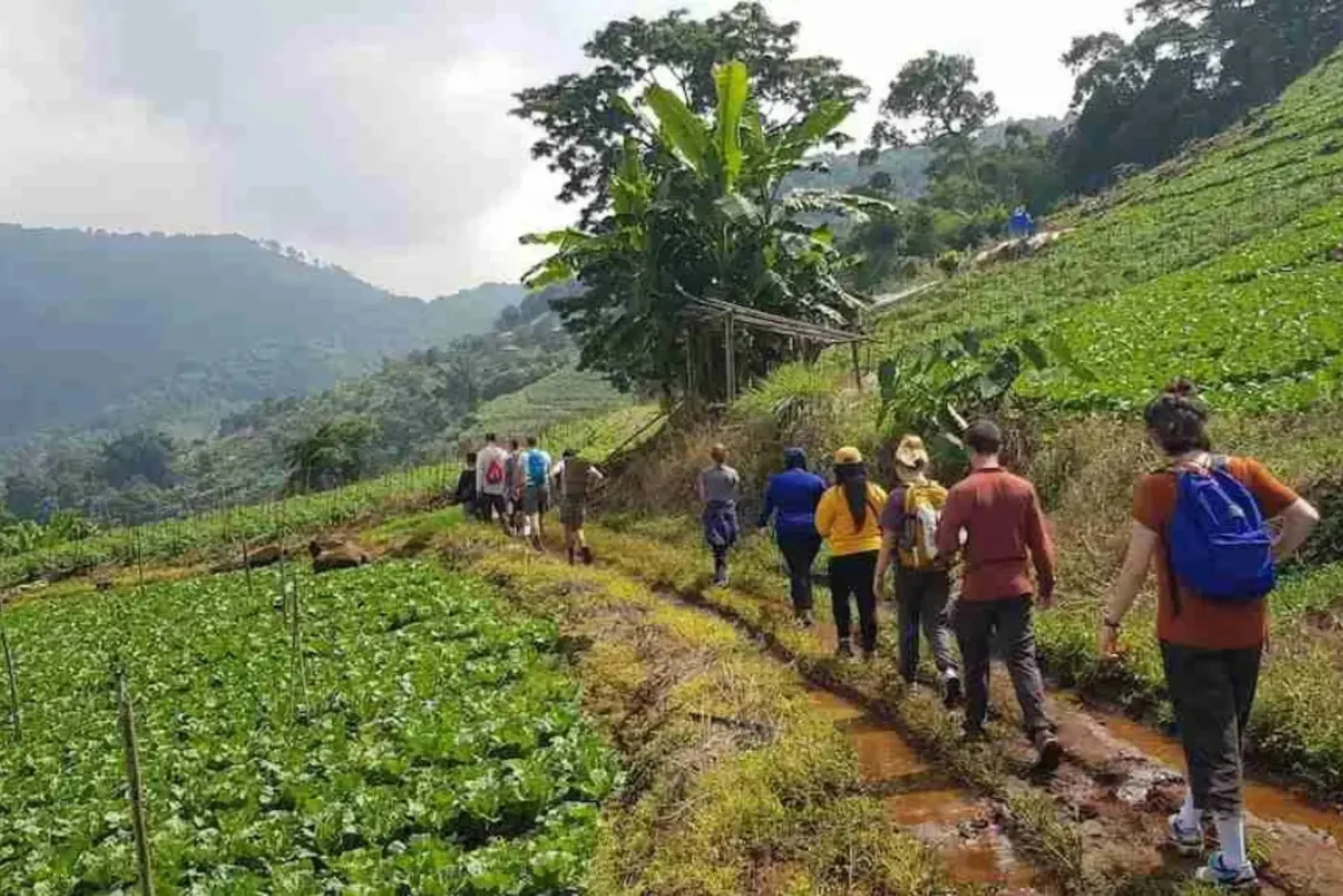 The best jungle trekking in Thailand